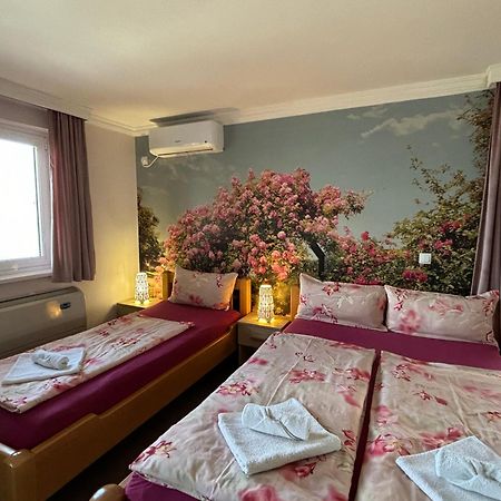 Apartmani "Marija" Голубац Экстерьер фото